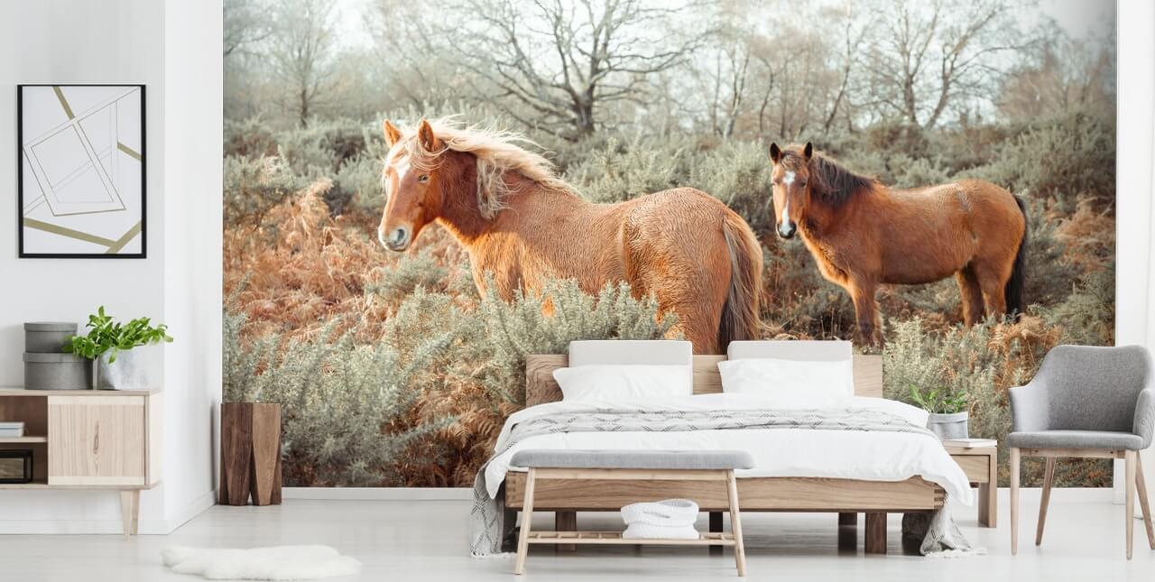 gemberpaarden in wilde habitat behang