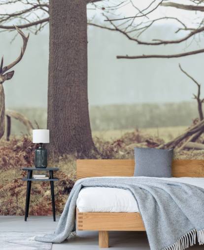 Stag in The Forest Stag in The Forest