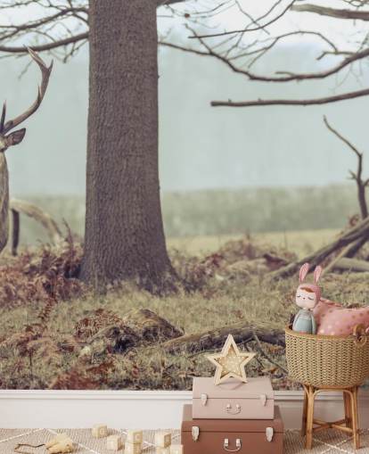 Cerf dans la forêt Cerf dans la forêt