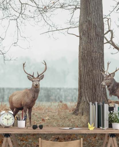 Lauma maisemassa Lauma maisemassa