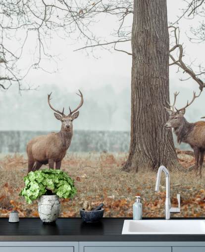 Lauma maisemassa Lauma maisemassa