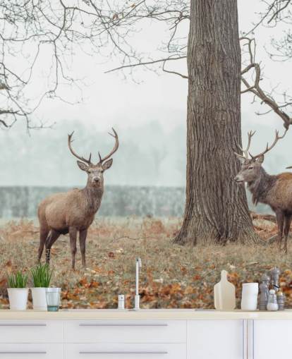 Herde in der Landschaft Herde in der Landschaft