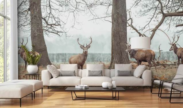 Herd in the Landscape Stag Wallpaper