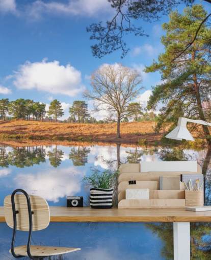 trees reflecting landscape wallpaper trees reflecting landscape wallpaper