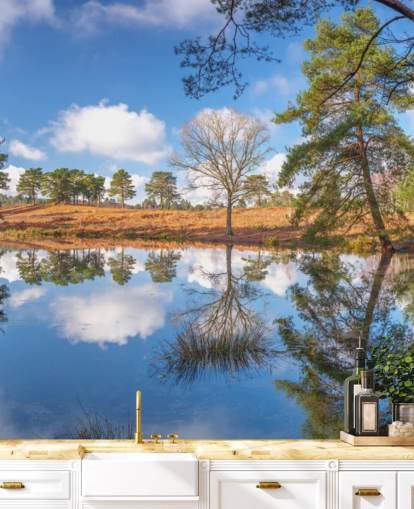 trees reflecting landscape wallpaper trees reflecting landscape wallpaper