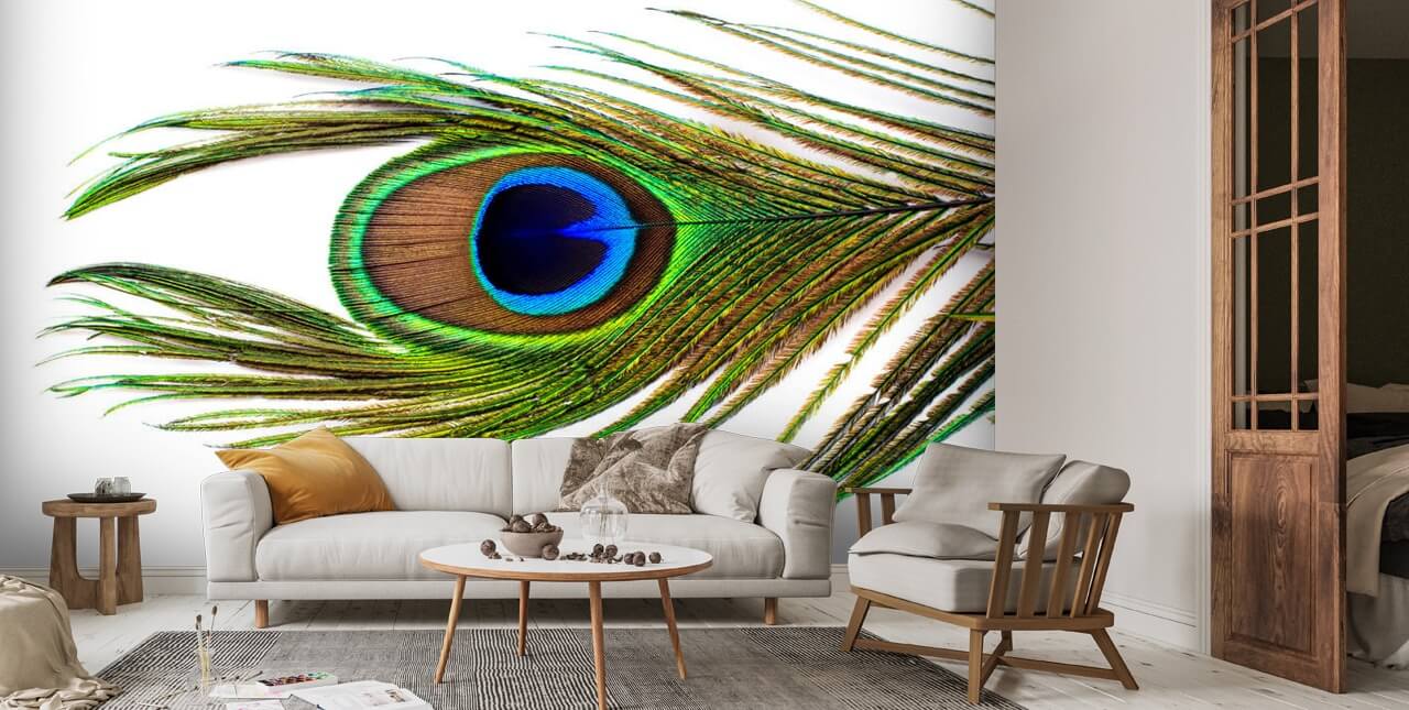 BEAUTIFUL WALL POSTER - PEACOCK FEATHER DESIGN Paper Print - Decorative  posters in India - Buy art, film, design, movie, music, nature and  educational paintings/wallpapers at