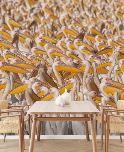 white and yellow pelicans wallpaper white and yellow pelicans wallpaper