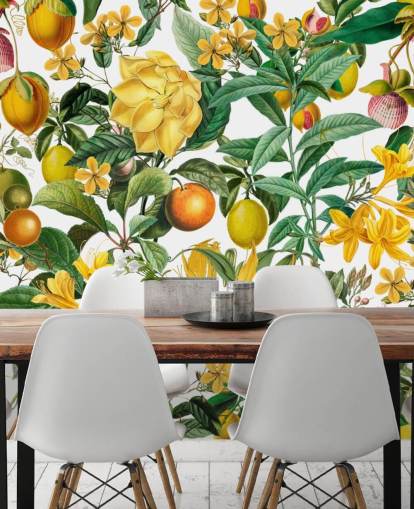 Küchentapete mit Zitrone und Orange von Andrea Haase für Küchen, Waschräume und Cafés Küchentapete mit Zitrone und Orange von Andrea Haase für Küchen, Waschräume und Cafés