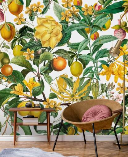 citron och orange kökstapetväggmålning av Andrea Haase för kök, lerum och kaféer citron och orange kökstapetväggmålning av Andrea Haase för kök, lerum och kaféer