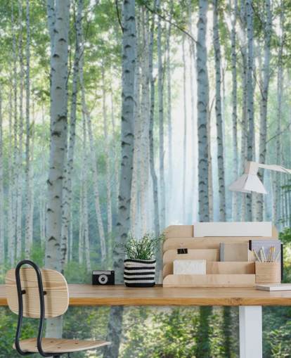 carta da parati murale bianca personalizzabile con albero di betulla chiamata White Birch Forest In Summer per salotti carta da parati murale bianca personalizzabile con albero di betulla chiamata White Birch Forest In Summer per salotti