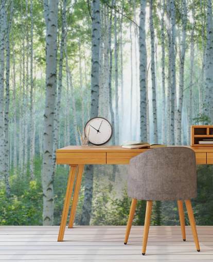 white customisable birch tree wallpaper mural called White Birch Forest In Summer for living rooms white customisable birch tree wallpaper mural called White Birch Forest In Summer for living rooms