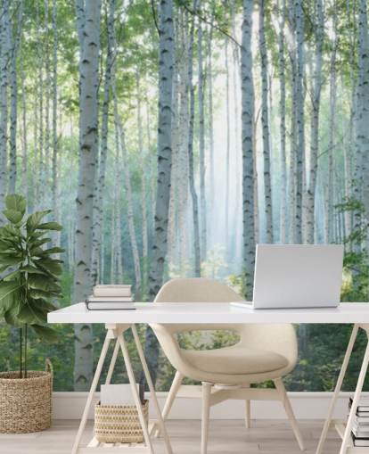 white customisable birch tree wallpaper mural called White Birch Forest In Summer for living rooms white customisable birch tree wallpaper mural called White Birch Forest In Summer for living rooms