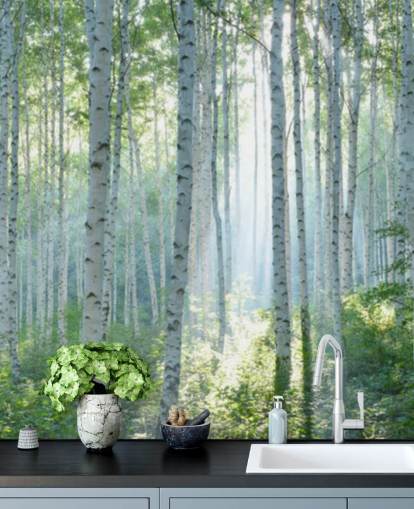 white customisable birch tree wallpaper mural called White Birch Forest In Summer for living rooms white customisable birch tree wallpaper mural called White Birch Forest In Summer for living rooms