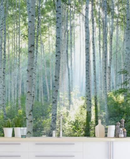 vit anpassningsbar björkträd tapetväggmålning kallad White Birch Forest In Summer för vardagsrum vit anpassningsbar björkträd tapetväggmålning kallad White Birch Forest In Summer för vardagsrum