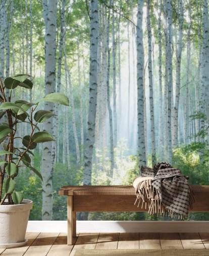 white customisable birch tree wallpaper mural called White Birch Forest In Summer for living rooms white customisable birch tree wallpaper mural called White Birch Forest In Summer for living rooms