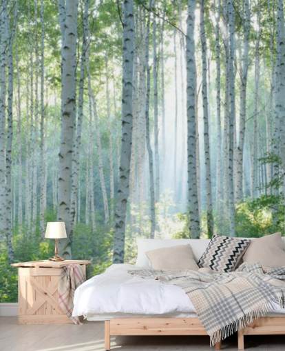 witte aanpasbare berkenbehangmuurschildering genaamd White Birch Forest In Summer voor woonkamers witte aanpasbare berkenbehangmuurschildering genaamd White Birch Forest In Summer voor woonkamers