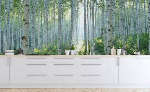 vit anpassningsbar björkträd tapetväggmålning kallad White Birch Forest In Summer för vardagsrum