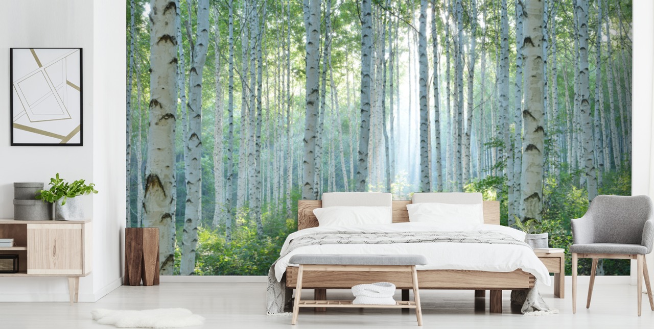 hvitt tilpassbart bjørketretapet veggmaleri kalt White Birch Forest In Summer for stuer hvitt tilpassbart bjørketretapet veggmaleri kalt White Birch Forest In Summer for stuer