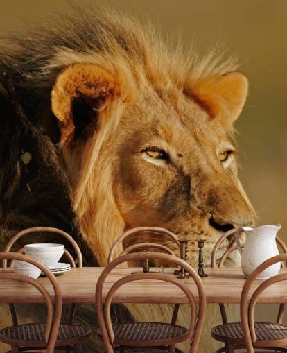 Male Lion Portrait Photography Mural Male Lion Portrait Photography Mural