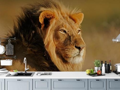 Decorazione murale con ritratto di leone maschio