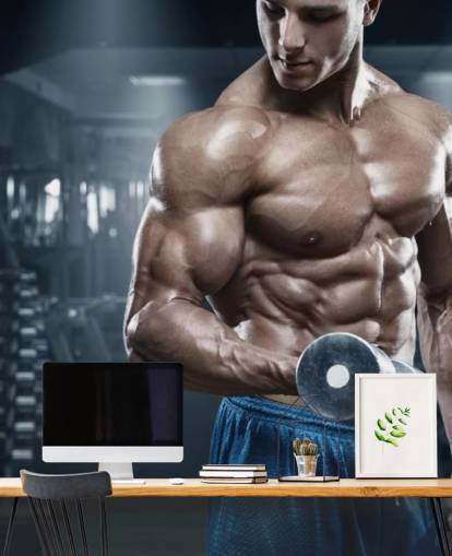 male body builder doing weights in gym wallpaper male body builder doing weights in gym wallpaper