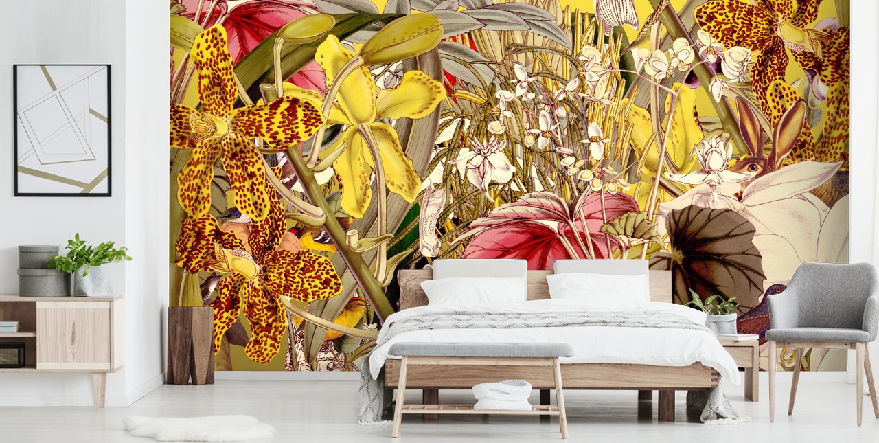 Fondos de colorful plants