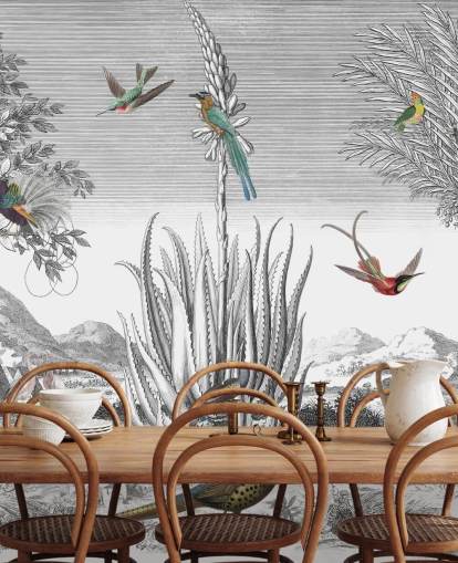 black and white background with colourful birds wallpaper black and white background with colourful birds wallpaper