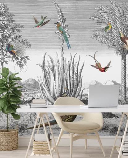 fond noir et blanc avec papier peint oiseaux colorés fond noir et blanc avec papier peint oiseaux colorés