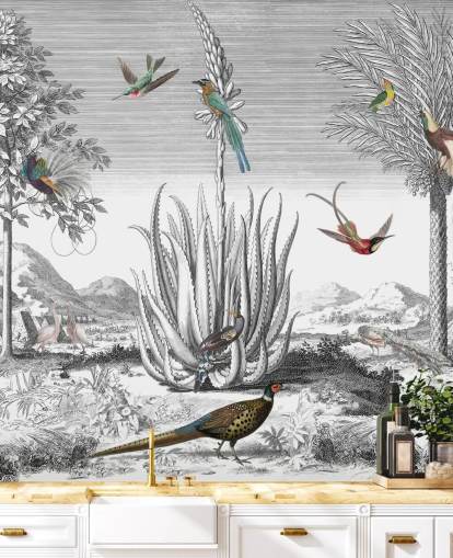 black and white background with colourful birds wallpaper black and white background with colourful birds wallpaper