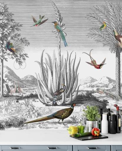 black and white background with colourful birds wallpaper black and white background with colourful birds wallpaper