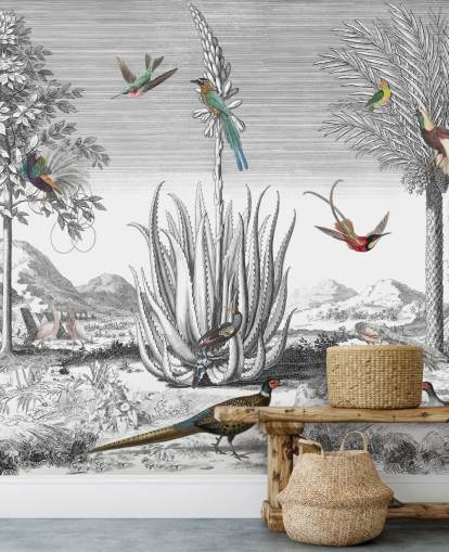 Schwarz-Weiß-Hintergrund mit bunten Vogel-Tapete Schwarz-Weiß-Hintergrund mit bunten Vogel-Tapete