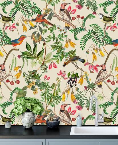 colourful birds wallpaper colourful birds wallpaper