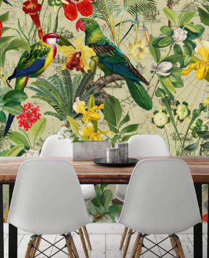 papier peint coloré oiseaux tropicaux papier peint coloré oiseaux tropicaux