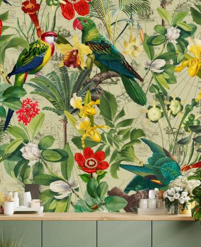 papel pintado colorido pájaro tropical papel pintado colorido pájaro tropical