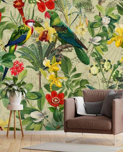 colourful tropical bird wallpaper colourful tropical bird wallpaper