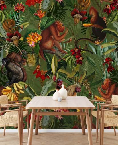 fond d'écran singes dans une jungle fond d'écran singes dans une jungle