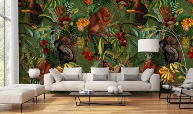 fond d'écran singes dans une jungle