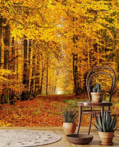 høst skog tapet høst skog tapet