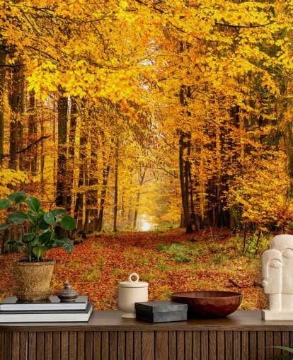 Herbstwald Tapete Herbstwald Tapete