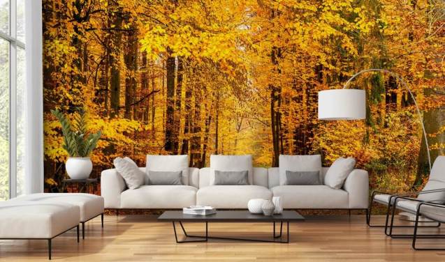 autumn forest wallpaper