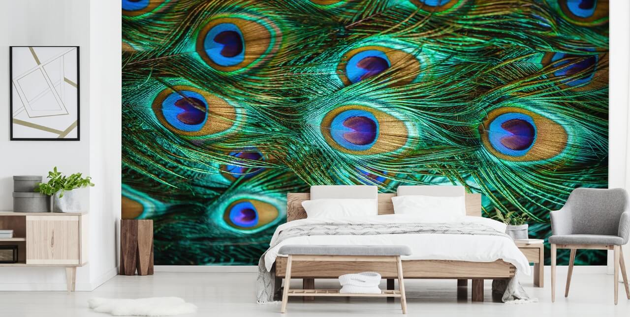 Peacock Eyes Print