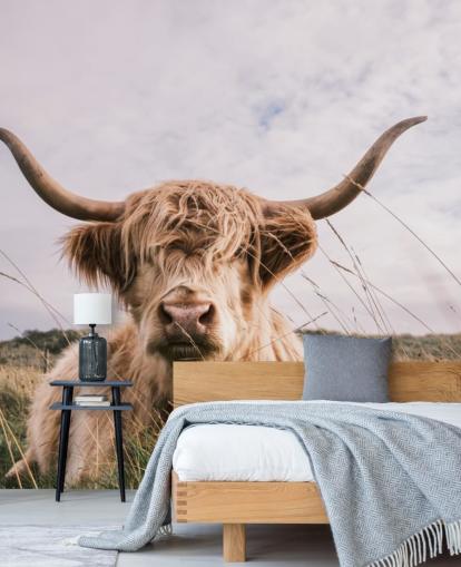 brown custom cow wallpaper mural called Scottish Highland Cow for homes and offices brown custom cow wallpaper mural called Scottish Highland Cow for homes and offices