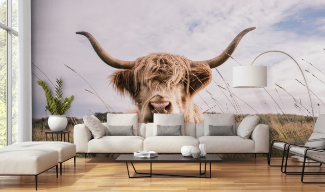 brunt brugerdefineret ko tapetmaleri kaldet Scottish Highland Cow til hjem og kontorer