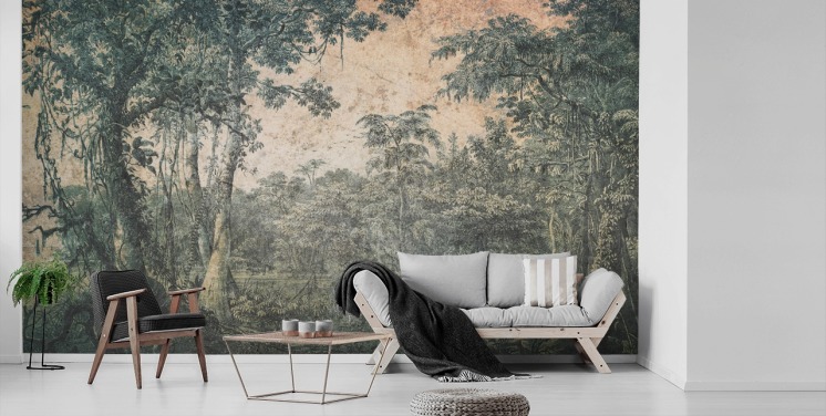 Forest Wallpaper & Tree Wallpaper Murals 