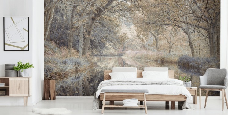 brown and grey canal in winter woodland wall mural by Assaf Frank for bedroom