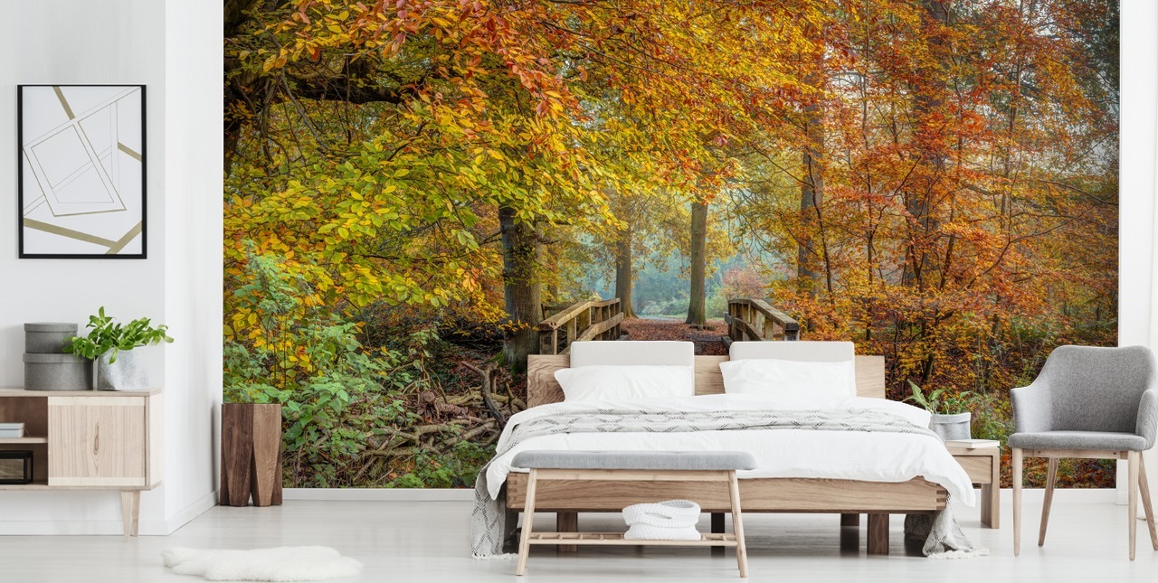 autumn woodland with bridge wallpaper mural