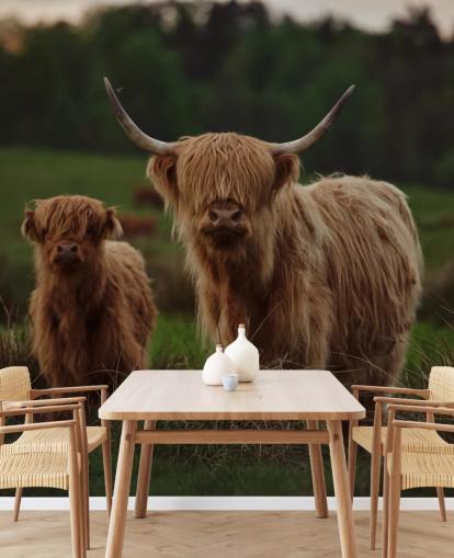 brown custom cow wallpaper mural called Highland Cow and Calf brown custom cow wallpaper mural called Highland Cow and Calf