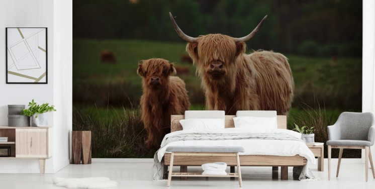 brunt brugerdefineret ko tapetmaleri kaldet Highland Cow and Calf 