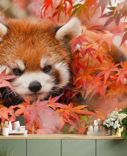 red customisable panda wallpaper mural called Red Panda in Autumn for homes and offices red customisable panda wallpaper mural called Red Panda in Autumn for homes and offices