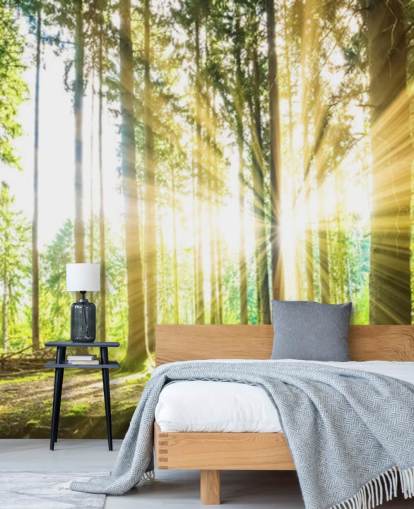 green customisable forest wallpaper mural called Forest Sun for office green customisable forest wallpaper mural called Forest Sun for office